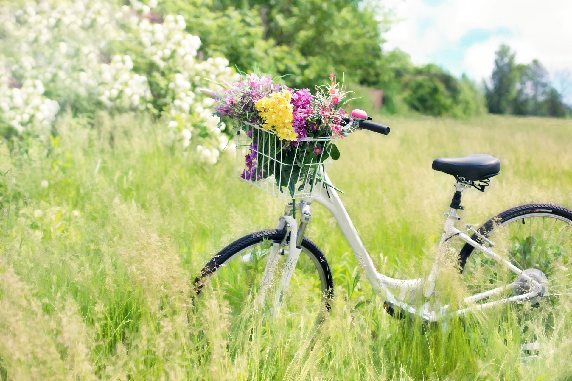 bicycle with different flowers in the bicycle basket